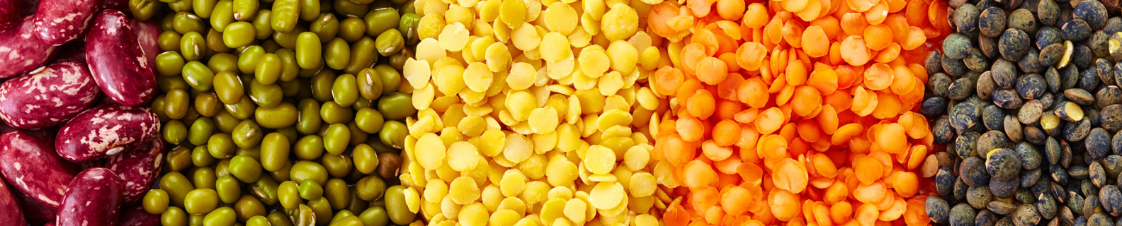 legumes