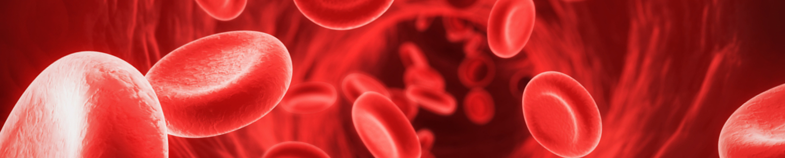 the inside of a blood vessel
