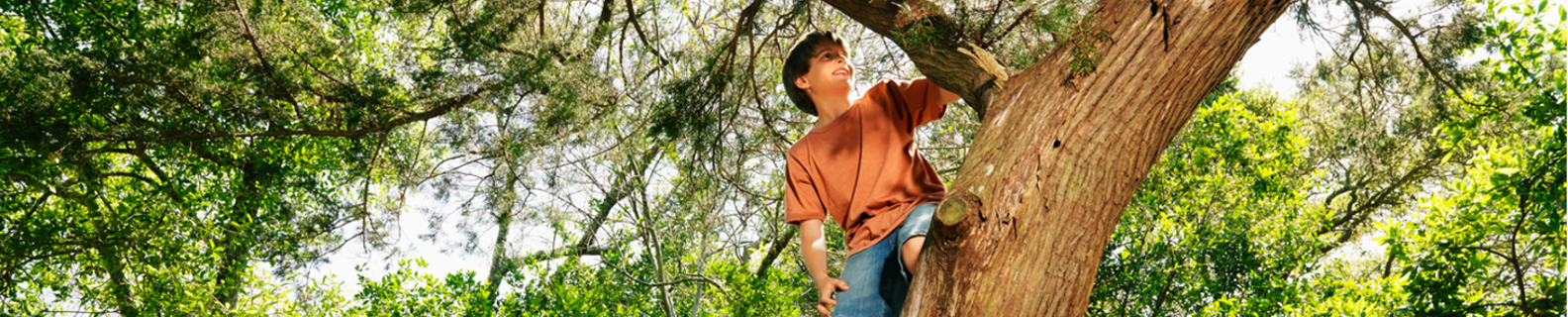 boy climbing a tree