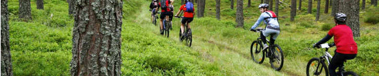 moutain bike