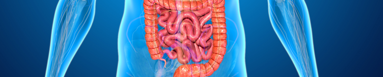 intestines