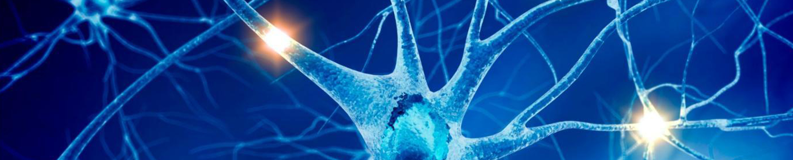drawing of neurons