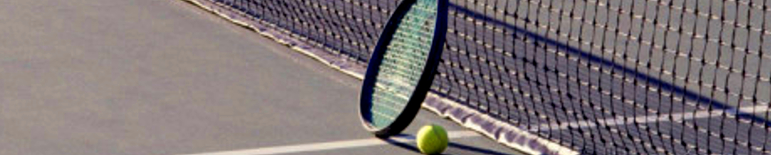 tennis racket, ball and net