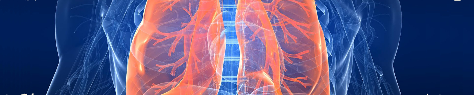 drawing of lungs